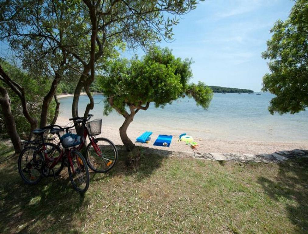 Apartament Casa Leona Rovinj Zewnętrze zdjęcie
